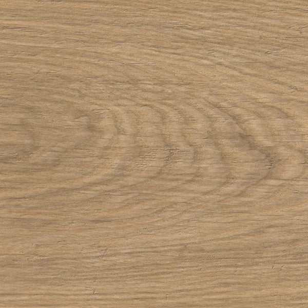 Atlas Concorde Plank Amber