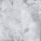Caesar Alchemy Argent