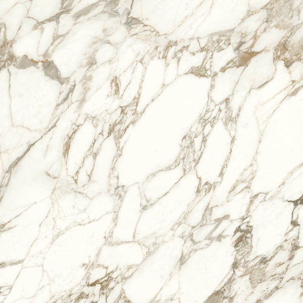 Caesar Anima Ever Luxury Arabesque