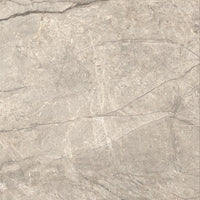 Caesar Anima Futura Amazing Silver Sign