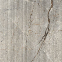 Caesar Anima Futura Amazing Silver Stripes