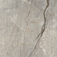 Caesar Anima Futura Amazing Silver Stripes
