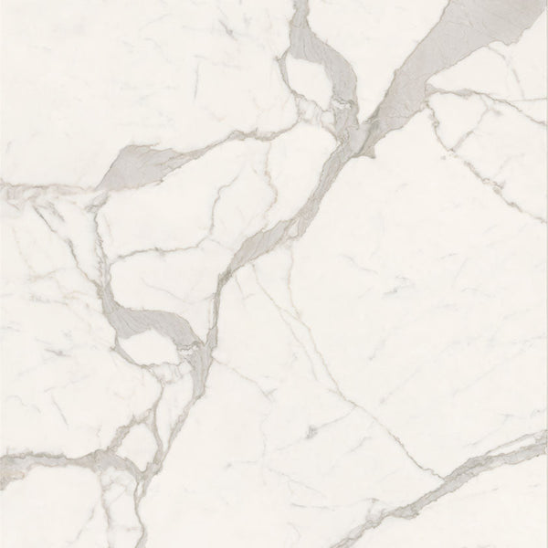 Caesar Anima Futura Majestic White Sign