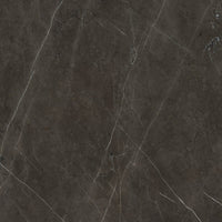 Caesar Anima Graphite