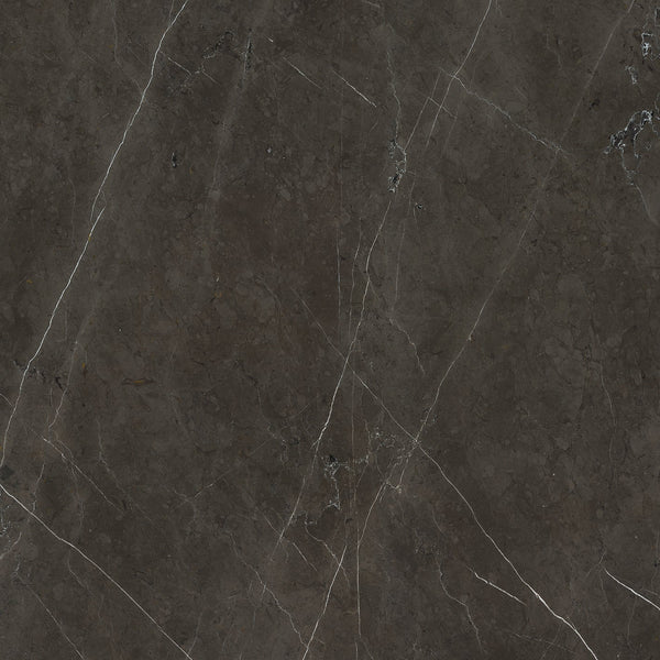 Caesar Anima Graphite