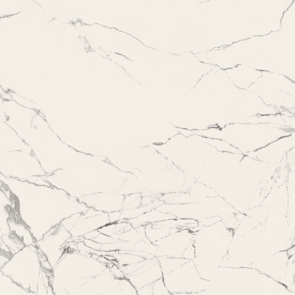 Caesar Anima Statuario Venato