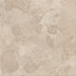 Caesar Bloomstone Shell