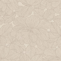 Caesar Deco Solutions Peonia