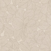 Caesar Deco Solutions Decoro Suit Peonia