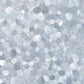 Cerdisa Archisalt Lake Persian Blue