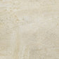Cotto Petrus Fossili Grigio