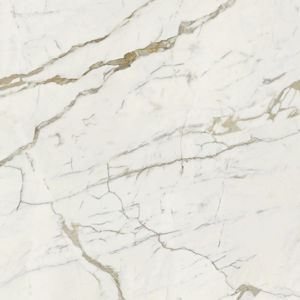 Cotto Petrus Vision Calacatta Oro