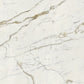 Cotto Petrus Vision Calacatta Oro