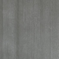 Casalgrande Padana Cemento Cassero Antracite Antibacterial, texture effetto cemento cassero