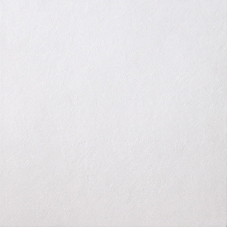 Casalgrande Padana Spazio Bianco, texture tinta unita