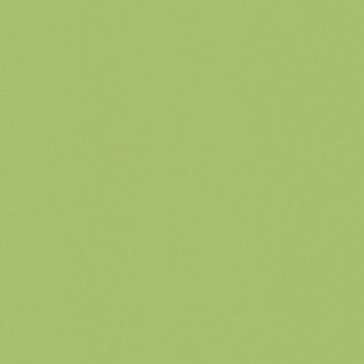 Casalgrande Padana Architecture Acid Green, texture tinta unita