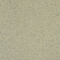 Casalgrande Padana Granito 1 Everest Antibatterica, texture effetto granito levigata