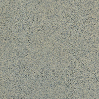 Casalgrande Padana Granito 1 Georgia Antibatterica, texture effetto granito levigata