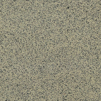 Casalgrande Padana Granito 1 Labrador, texture effetto granito levigata