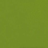 Casalgrande Padana Caleidoscopio Pistacchio, texture tinta unita matt