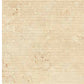 Dado Trevistone Rigatino Gold