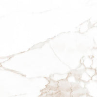 FAP Ceramiche Roma Calacatta matt texture