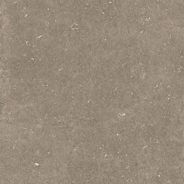 Florim Rinascenza Arena Pietra 785572 — texture ufficiale quadrata 1920×1920