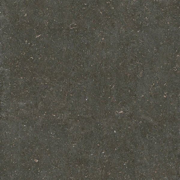 Florim Rinascenza Arena Platino 785573 — texture ufficiale quadrata 1920×1920