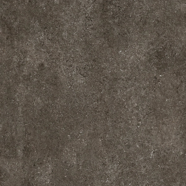 Florim Sensi Brown Fossil R+PTV — texture ufficiale quadrata 1920×1920