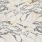 Gardenia Ariana Epoque 21 Arabescato 3D