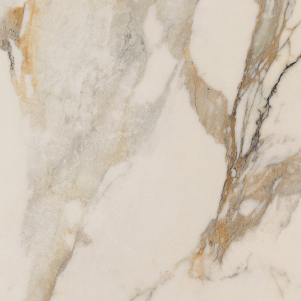 Gardenia Ariana Epoque Ivory — texture ufficiale quadrata 1920×1920