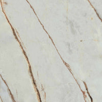 Gardenia Ariana La Marmoteca Grey Wonder 3D — texture ufficiale quadrata 1920×1920