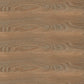 Geotiles Borneo Miel