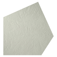 Gigacer Argilla Vetiver Large Pentagon