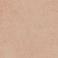 Gigacer Aromas Masala