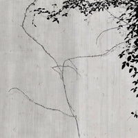 Glamora Endless crossing – Tapetenmuster 35 × 47 cm