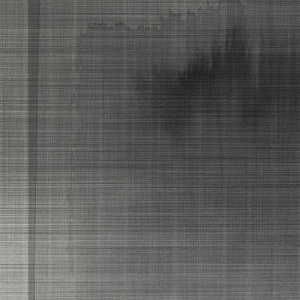 Glamora Jovis – dettaglio del decoro GLF791A