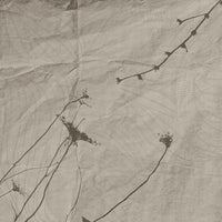 Glamora Eupraxia – dettaglio del decoro GLHY191A