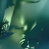 Glamora Zephyr – dettaglio del decoro GLF641A