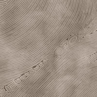 Glamora Radici – dettaglio del decoro GLIX531A