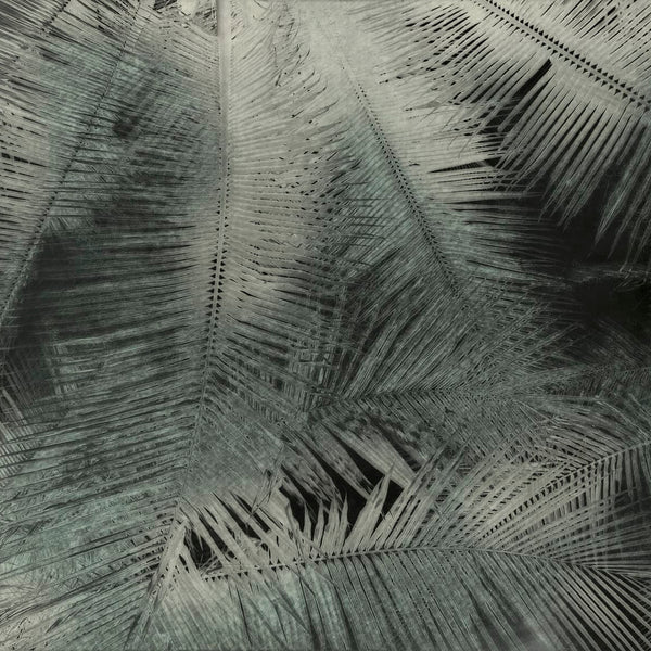Glamora Zenith – dettaglio del decoro GLNF111A
