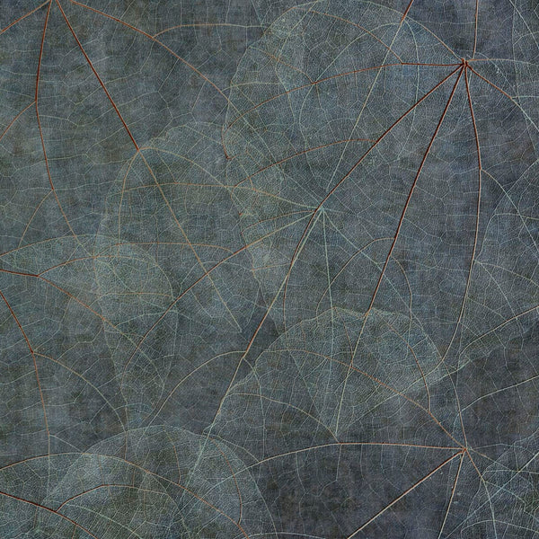 Glamora Equinox – dettaglio del decoro GLNF121A