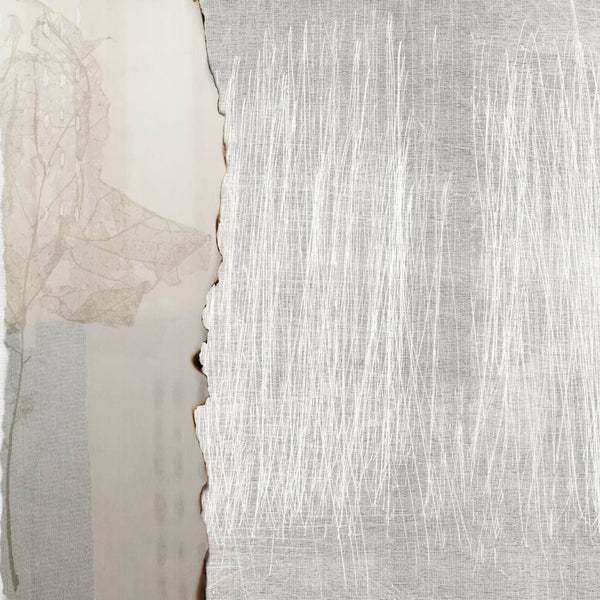 Glamora Glacé – dettaglio del decoro GLX491A