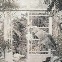 Glamora Botanist – Wallpaper sample 35 × 47 cm