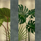 Glamora Flora – Muestra papel pintado 35 × 47 cm
