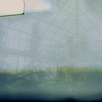 Glamora Greenhouse – dettaglio del decoro GLXII291A