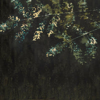 Glamora Harper – dettaglio del decoro GLXII311A