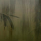 Glamora Viridia – Tapetenmuster 35 × 47 cm