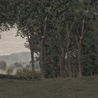 Glamora Ouverture – dettaglio del decoro GLXV491A