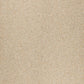 Graniti Fiandre Il Veneziano Seminato Beige
